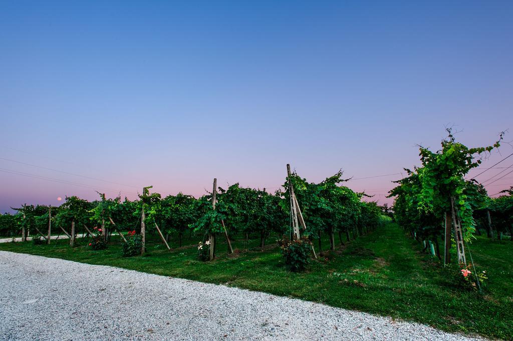 Brick House Silea Villa Rom bilde
